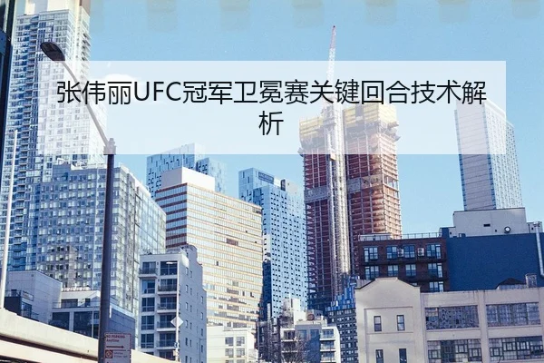 张伟丽UFC冠军卫冕赛关键回合技术解析